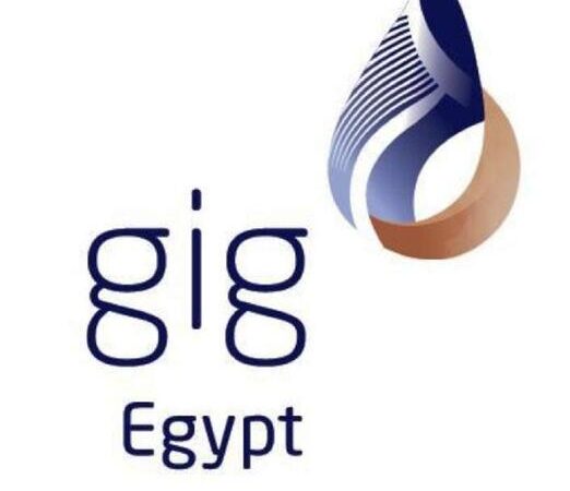 شركة gig مصر تقدم عرضاً للاستحواذ على شركة AIG للتأمين