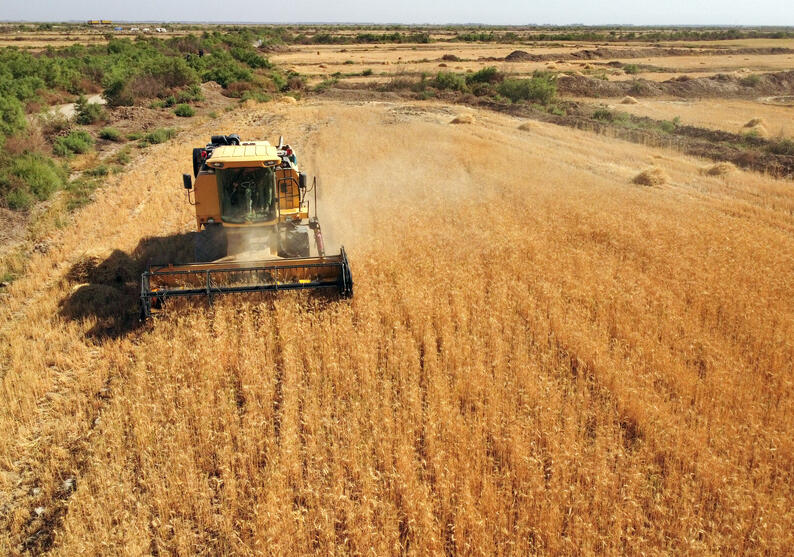 مؤسسة الحبوب السعودية ترسي عقد توريد 240 ألف طن من القمح من الخارج على سالك
